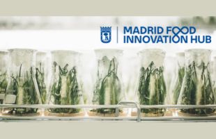 ii edicion programa miniatura