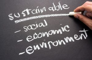 Pizarra con las palabras sostenible, social, rentabilidad y medioambiente en inglés